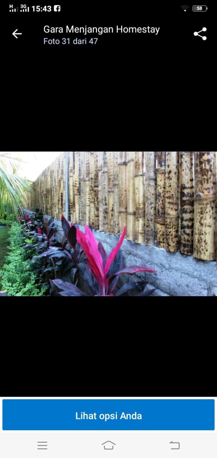 Gara Menjangan Homestay 班尤温当 外观 照片